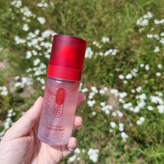 레드투래드 안티더스트 배리어 미스트 55ml — 5점을 준 리뷰어가 2021년 6월 올린 사용 사진