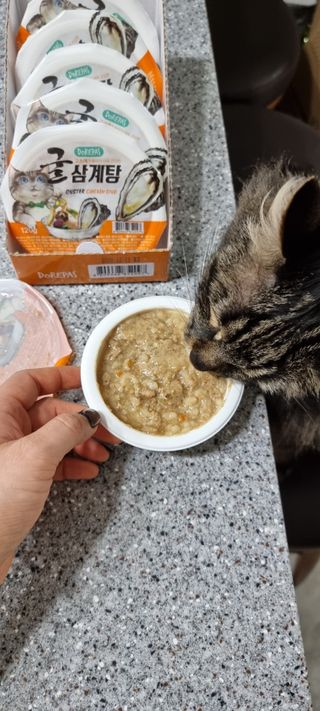시노님이 올린 리뷰 사진 4