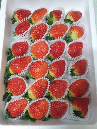 옳음 딸기 논산 설향 딸기 900g 산지직송 — 4점을 준 리뷰어가 2021년 1월 올린 사용 사진
