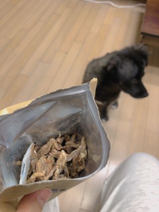 [보헤리] 국내산 강아지 육포간식 바삭 64 2종 — 5점을 준 리뷰어가 2022년 4월 올린 사용 사진