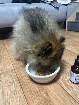 지영님이 올린 리뷰 사진 2