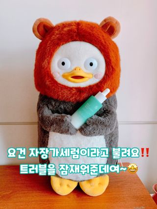 펭뽀꾸님이 올린 리뷰 사진 2