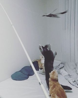 이째님이 올린 리뷰 사진 4