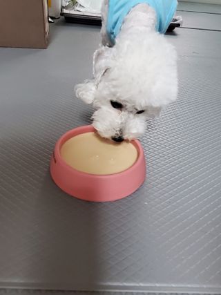 모모맘님이 올린 리뷰 사진 2