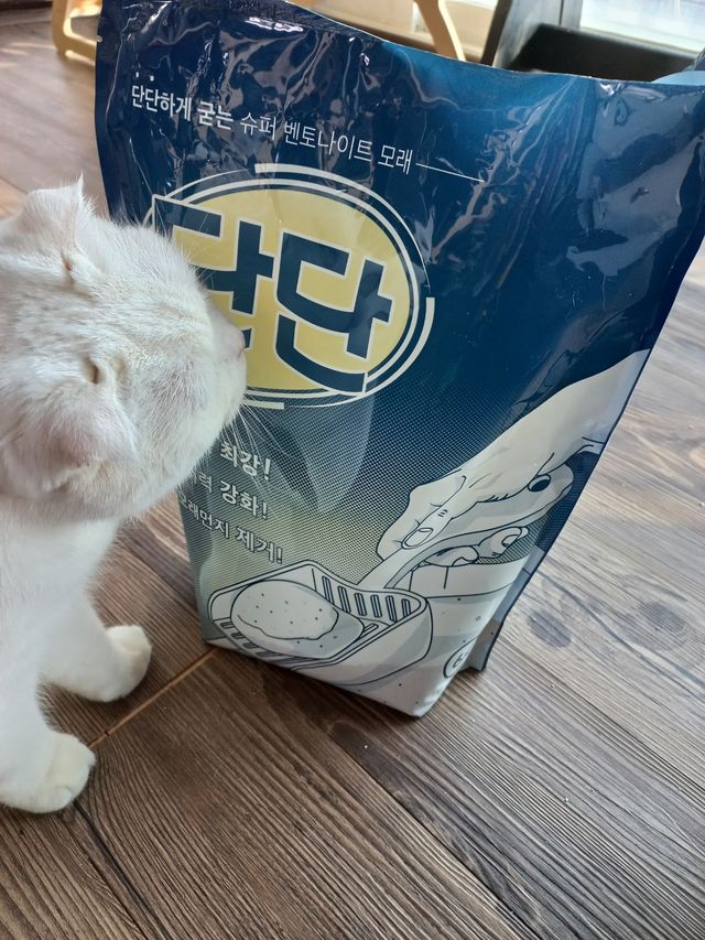 크집사의레시피 - 단단모래 리뷰 사진