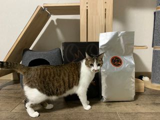 신미라님이 올린 리뷰 사진 3