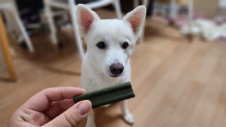 미니몽님이 올린 리뷰 사진 1