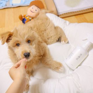 헬로수경님이 올린 리뷰 사진 1