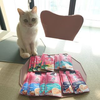 비타크래프트 고양이 수프 50g 3가지맛 x4팩씩 총 12팩 — 5점을 준 리뷰어가 2021년 10월 올린 사용 사진
