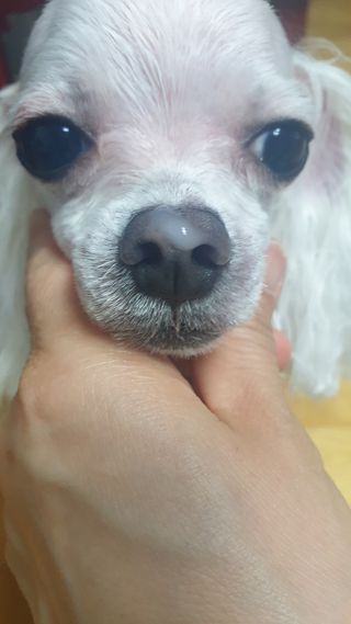 버츠비 케어플러스 릴리빙포앤노즈로션 — 5점을 준 리뷰어가 2021년 4월 올린 사용 사진