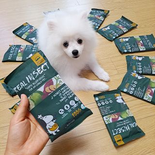 [푸디웜] 라포그  리얼인섹트 웨이트밸런스 저알러지 강아지 사료  1.2KG — 5점을 준 리뷰어가 2022년 7월 올린 사용 사진