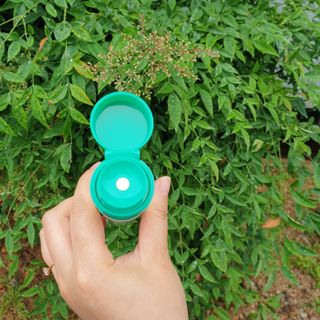 꼬물이님이 올린 리뷰 사진 3