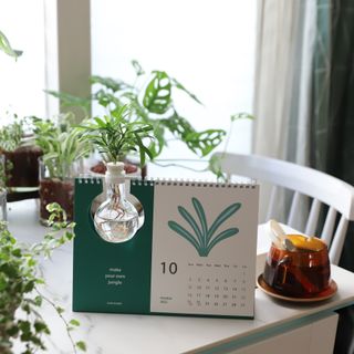 레비올라님이 올린 리뷰 사진 1