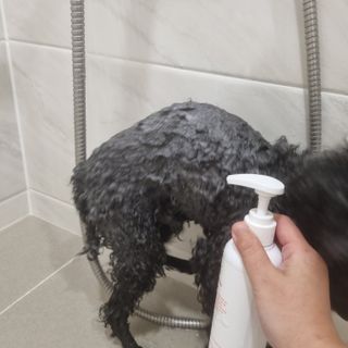 완두콩이님이 올린 리뷰 사진 3