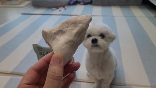 [펫시밀] 원물그대로 영양듬뿍 동결건조 왕북어트릿300g,왕치킨트릿400g,열빙어트릿300g 대용량 간식 — 5점을 준 리뷰어가 2023년 5월 올린 사용 사진