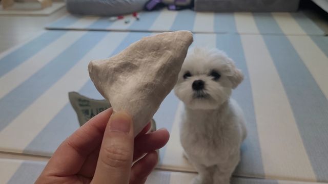 [펫시밀] 원물그대로 영양듬뿍 동결건조 왕북어트릿300g,왕치킨트릿400g,열빙어트릿300g 대용량 간식 리뷰 사진