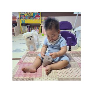 아비삭라이스볼 3종 /딸기,후르츠,단호박 — 5점을 준 리뷰어가 2021년 5월 올린 사용 사진