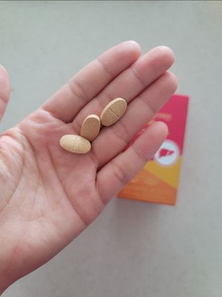 서울약사신협 간건강 실리마린 밀크씨슬 800mg, 60정 — 5점을 준 리뷰어가 2021년 10월 올린 사용 사진