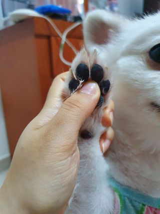 또왔엉님이 올린 리뷰 사진 3