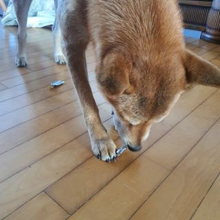 루비님이 올린 리뷰 사진 4