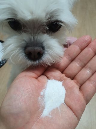 서울약사신협_프로바이오 생유산균 2.5g 160포 — 5점을 준 리뷰어가 2021년 7월 올린 사용 사진