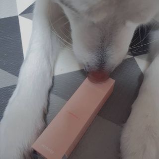 딸랑구둘🥰님이 올린 리뷰 사진 3