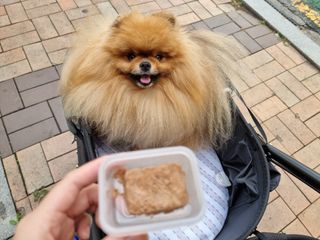 아롱이님이 올린 리뷰 사진 3