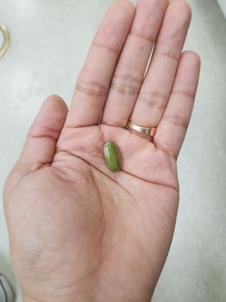 하이빈님이 올린 리뷰 사진 3