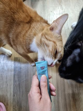 rin님이 올린 리뷰 사진 3