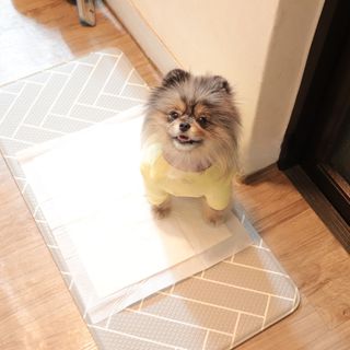 오코리타님이 올린 리뷰 사진 1