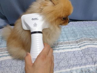 퍼스트캠퍼님이 올린 리뷰 사진 4