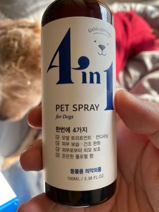쪼꼬미님이 올린 리뷰 사진 3