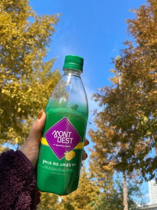 몽베스트 Montbest with Sparkling water Lemon OR Lime 20병(랜덤) — 5점을 준 리뷰어가 2021년 10월 올린 사용 사진