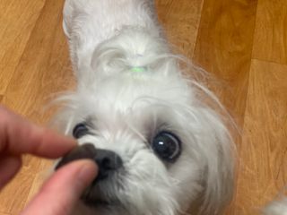 salamba님이 올린 리뷰 사진 4