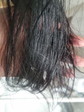 네몽이님이 올린 리뷰 사진 1