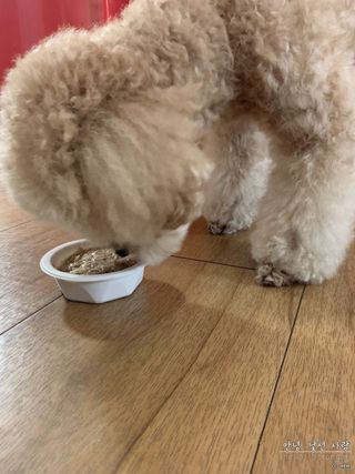 ve_randa님이 올린 리뷰 사진 4
