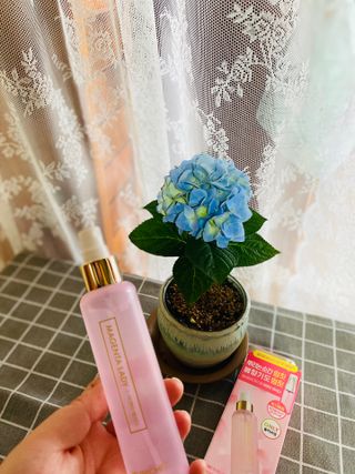 화이집사님이 올린 리뷰 사진 1