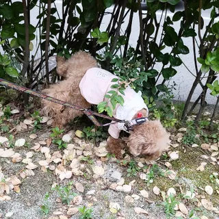 랭쑤님이 올린 리뷰 사진 1