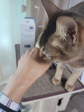 kira님이 올린 리뷰 사진 1