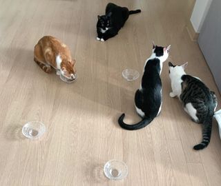 오둥이맘님이 올린 리뷰 사진 4