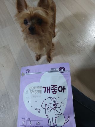 My Pet Care 천연단백질 치아건강에 개좋아 — 5점을 준 리뷰어가 2021년 1월 올린 사용 사진