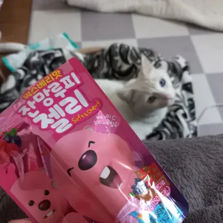야키소바빵님이 올린 리뷰 사진 3