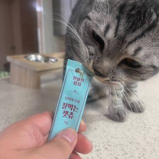 뿌꾸님이 올린 리뷰 사진 2