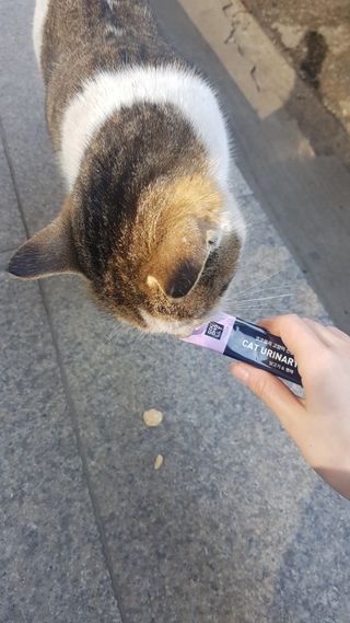응디니님이 올린 리뷰 사진 1