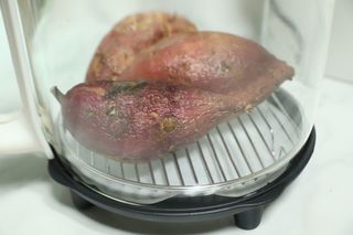 바울님이 올린 리뷰 사진 2
