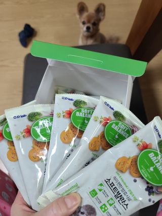 씨디랩 속이 편한 강아지 사료 소프트발란스 기호성 좋은 발효사료 피부와 위장 관절과 위장 — 5점을 준 리뷰어가 2021년 4월 올린 사용 사진