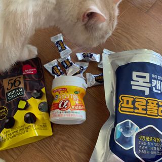 시리꽃님이 올린 리뷰 사진 1
