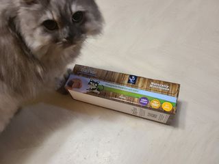 박오뎅님이 올린 리뷰 사진 2