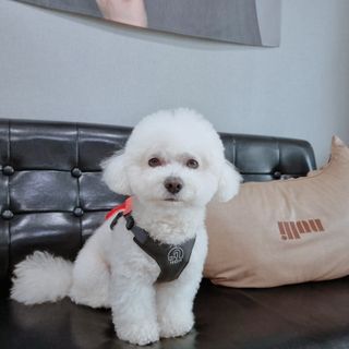 우주님이 올린 리뷰 사진 1