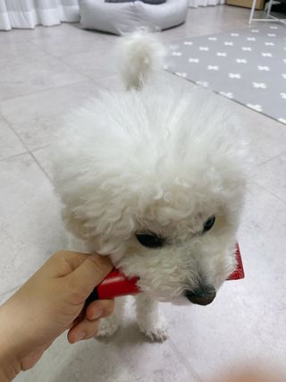 JENNY님이 올린 리뷰 사진 4